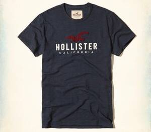 HOLLISTER ホリスター men