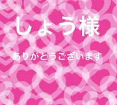 大きいサイズ 切り替えプリーツロングフレアーワンピース フリル袖 リボン　3L