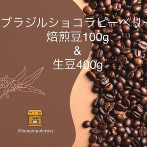 ブラジルショコラピーベリー焙煎豆100g &生豆400g