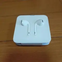 EarPods with Lightning Connector