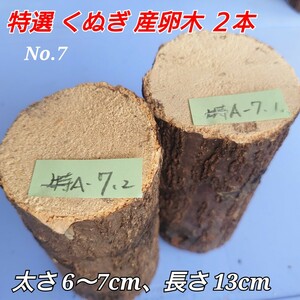 【送料無料】 産卵木 くぬぎ ２本 ●特Ａ No.7 ●硬さふつう ■オオクワガタに最適!! ほだ木 ホダ木 廃ほだ 朽ち木 朽木 とまり木 止まり木