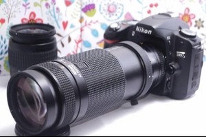 Nikon D80☆スマホに転送OK☆色鮮やか一味違う一眼レフ☆