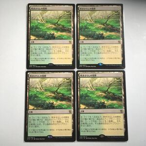 MTG KTK 吹きさらしの荒野 日本語 タルキール覇王譚 248/269 R JP 2014 4枚セット まとめ