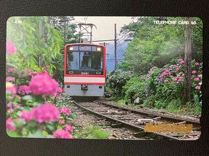 箱根登山鉄道 テレホンカード 電車 テレカ50度数 未使用品