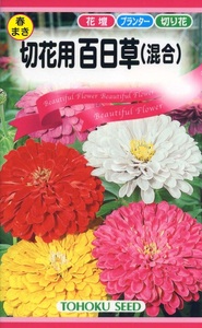 切花用 百日草 ジニア 混合種 種子 花のたね 切り花向け 家庭園芸　