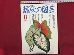 ｓ◆　平成3年　NHK 趣味の園芸 8月号　江尻光一の洋ランづくり 他　日本放送出版局　書籍のみ　書籍　雑誌　/M99