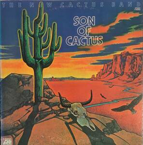 The New Cactus Band Son Of Cactus