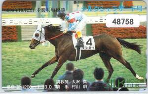 ４８７５８★シルクシェラザード　1999年未勝利戦　優勝馬　福島競馬　テレカ★