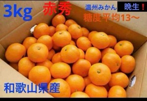 和歌山　赤秀　3kg　晩生　M玉　贈答用　家庭用