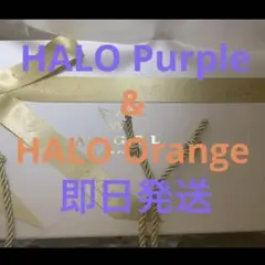 エンジェル シャンパン NV Brut HALO Purple & Orange