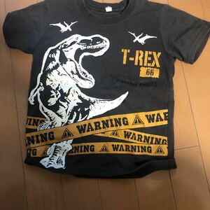 Tシャツ 恐竜　子供用 110