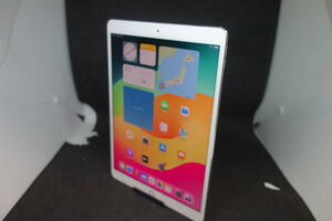 （395）Apple iPadPro Wi-Fi 64GB MQDW2J/A シルバー 10.5インチ iPadOS17.5.1