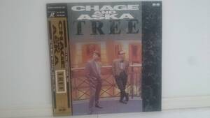 CHAGE&ASKA TREE