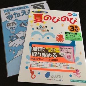 3362 夏のびのび 3年 文溪堂 国語 算数 小学 ドリル 問題集 テスト用紙 教材 テキスト 家庭学習 計算 漢字 過去問 ワーク 勉強 まとめ売り