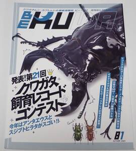 BE KUWA ビークワ No.81■クワガタ飼育レコードコンテスト｜今年はアンタエウスとスジブトヒラタがスゴい／オオクワガタ＆国内離島採集記