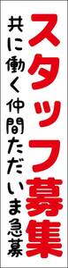 のぼり旗「スタッフ募集 のぼり スタッフ募 幟旗スタッフ募集 STAFF白 アルバイト 従業員」何枚でも送料200円