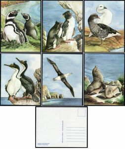 絵はがき H228 フォークランド諸島 動物 鳥 ペンギン カモメ 鵜 アザラシ 6種組 未使用