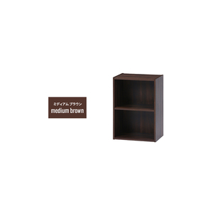 収納ボックス 収納棚 2段 A4 縦置き 41.5×29×60cm カラーボックス 木目調 組み立て 簡単 棚 本棚 ミディアムブラウン M5-MGKFGB00422MBR