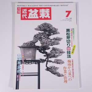 月刊 近代盆栽 No.189 1993/7 近代出版 雑誌 盆栽総合誌 園芸 ガーデニング 植物 特集・黒松芽切り88技法 山野草盆栽 ほか