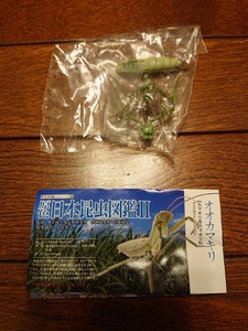 原色日本昆虫図鑑Ⅱ オオカマキリ