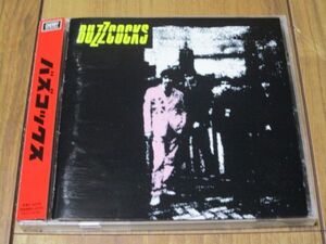 バズコックス BUZZCOCKS 国内 CD 帯付き TECI-24161 ピートシェリー PETE SHELLY