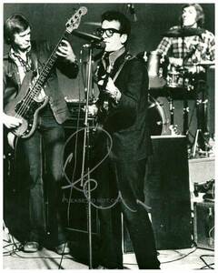 1979年 Elvis Costello エルヴィス・コステロ サイン フォト