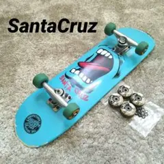 SantaCruz　スケボー　スケートボード　パーク　Skateboard