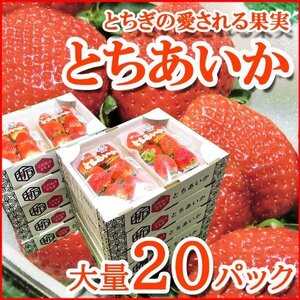 【Good】大量20パック入り！たっぷり10箱セット！栃木県産オリジナル 新品種 いちご『とちあいか』ご予約