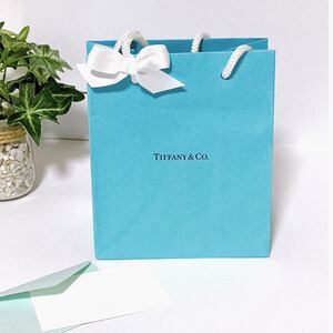 ティファニー「TIFFANY&Co.」ミニショッパー アクセサリー箱サイズ 現行 (3958) 正規品 付属品 ショップ袋 ブランド紙袋 折らずに配送 