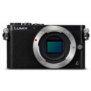 中古 １年保証 美品 Panasonic LUMIX DMC-GM1 ボディ ブラック