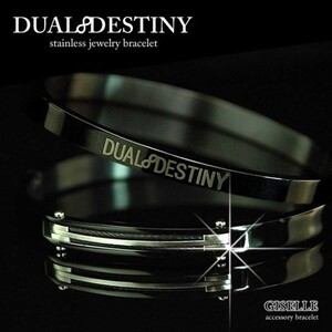 ペアブレスレット ペアバングル レディース メンズ ステンレス製 DUAL DESTINY おしゃれ プレゼント 誕生日 クリスマス