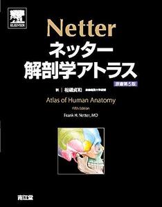 【中古】 ネッター解剖学アトラス 原書第5版