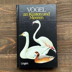 ドイツの古い鳥と卵の図鑑(VOGEL an Kusten und Meeren 1985年)/アンティーク ヴィンテージ ヨーロッパ 鳥図鑑 鳥の絵 美品 雰囲気◎/