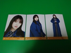 乃木坂46 【与田祐希】 2022 February - Ⅱ カラーコート 生写真 ３種コンプ