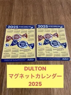 DULTON ダルトン　マグネットカレンダー　2025 2枚