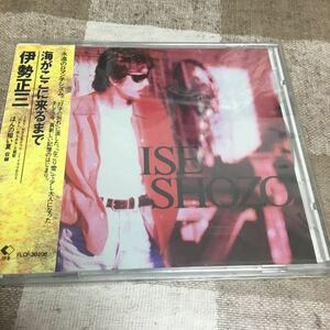 【CD】 海がここに来るまで