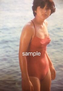 山口百恵/セクシー/股間/盛り/透け/胸/写真/A4サイズ/光沢/ポスター