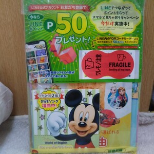 Disney 知育 英語 パズル 玩具 絵本 カード KUMON など 今のお子さんにピッタリのサンプルが入ってます。 御購入前にコメントを☆