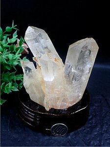◆超強いパワーヒマラヤ産天然水晶クラスター179B6-115B145D