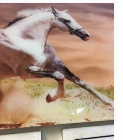 イタリア輸入アンティーク調ホワイトホースの絵白馬の絵白尾い馬の絵ゴールド淵 ゴールド額