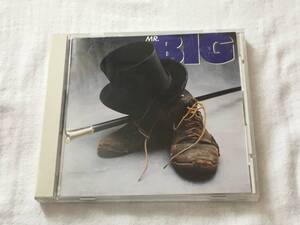 MR.BIG 国内盤