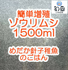 即給餌OK★ゾウリムシ 種水1500ml★沢山湧いてます★ めだかグッピーベタ金魚の稚魚 ビーシュリンプ 生餌に最適 ミジンコクロレラ