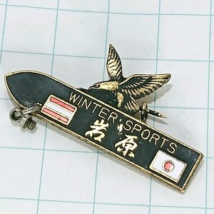 送料無料)岩原スキー ご当地 観光地 登山 山登り 旅行 記念 山バッジ ピンバッジ PINS ピンズ A21092