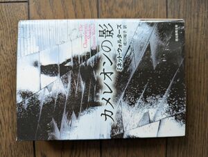 カメレオンの影 (創元推理文庫) ミネット・ウォルターズ