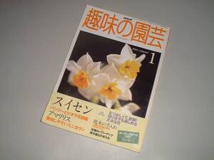 ＮＨＫ趣味の園芸　2000-1