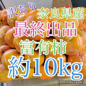 【在庫なくなり次第終了】【送料無料】訳あり　富有柿　約10kg　奈良県五條市産　柿農家直送　甘柿　格外品　ご自宅用　柿　【22】