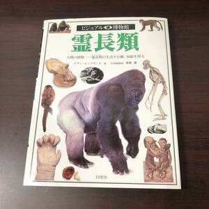 ビジュアル博物館　霊長類　人間の仲間　霊長類の生活や行動、知能を探る　同朋舎　1302