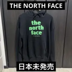 THE NORTH FACE EVLN VINTAGE HOODIE USA限定