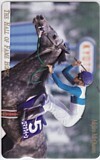 オッズカード メジロマックイーン THE HALL OF FAME HORSE オッズカード10 U0002-0246