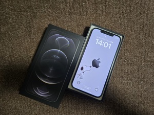 【超豪華おまけあり】Apple iPhone 12 Pro Max グラファイト SIMフリー 256G【美品】